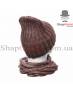 no zoom